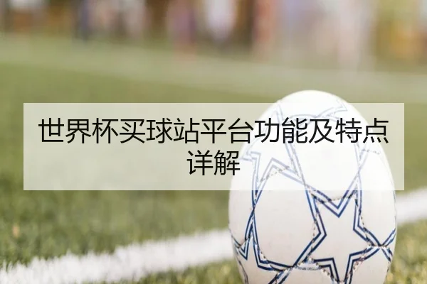 世界杯买球站平台功能及特点详解